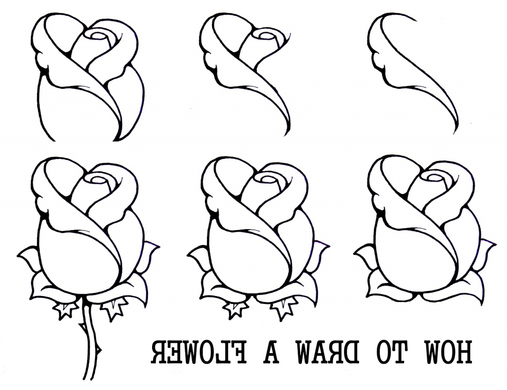 1024x788 Flowers Drawing Step By Step Easy Drawings Step Step Flowers