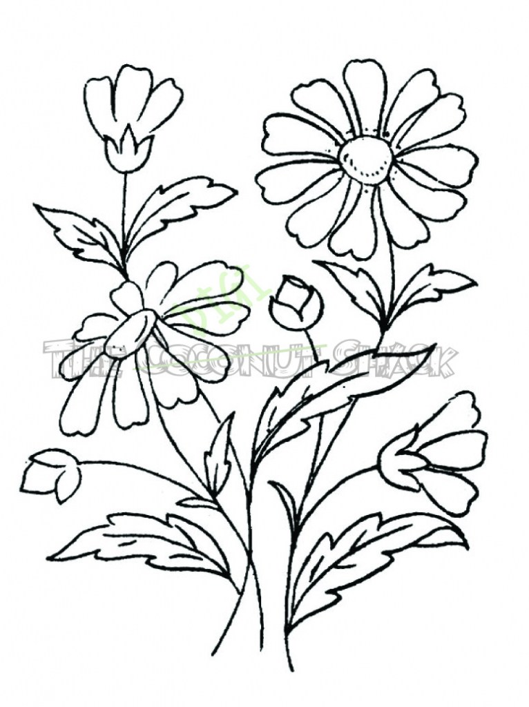 766x1024 Easy Drawings Of Flowers