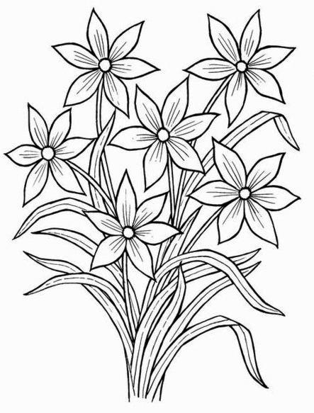 443x583 Drawn Bouquet Simple