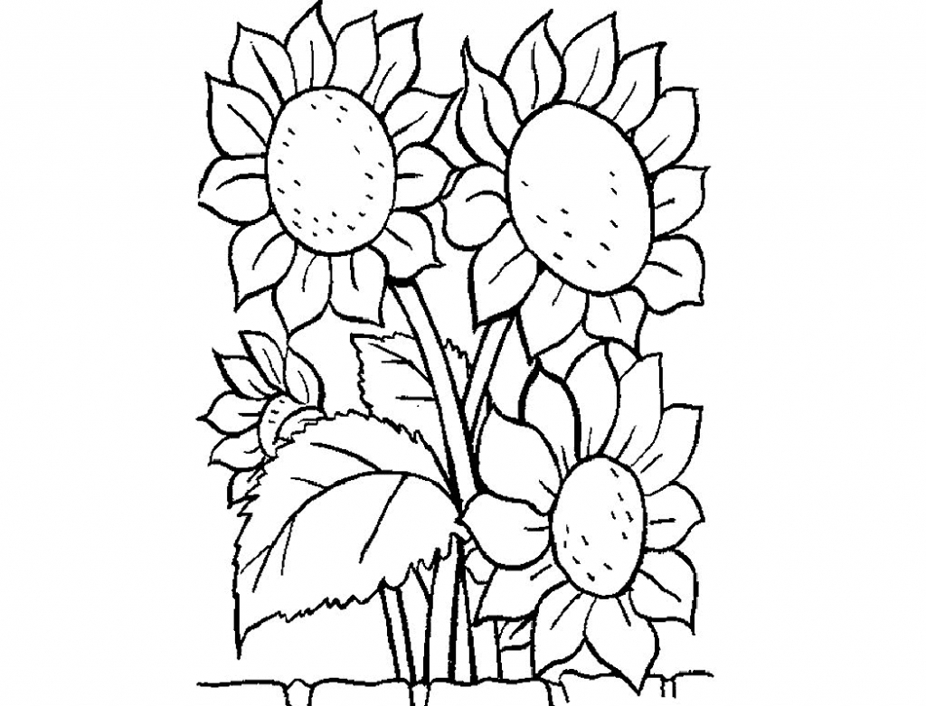 1024x781 Beautiful Flowers Drawings Kids Flowers Coloring Pages