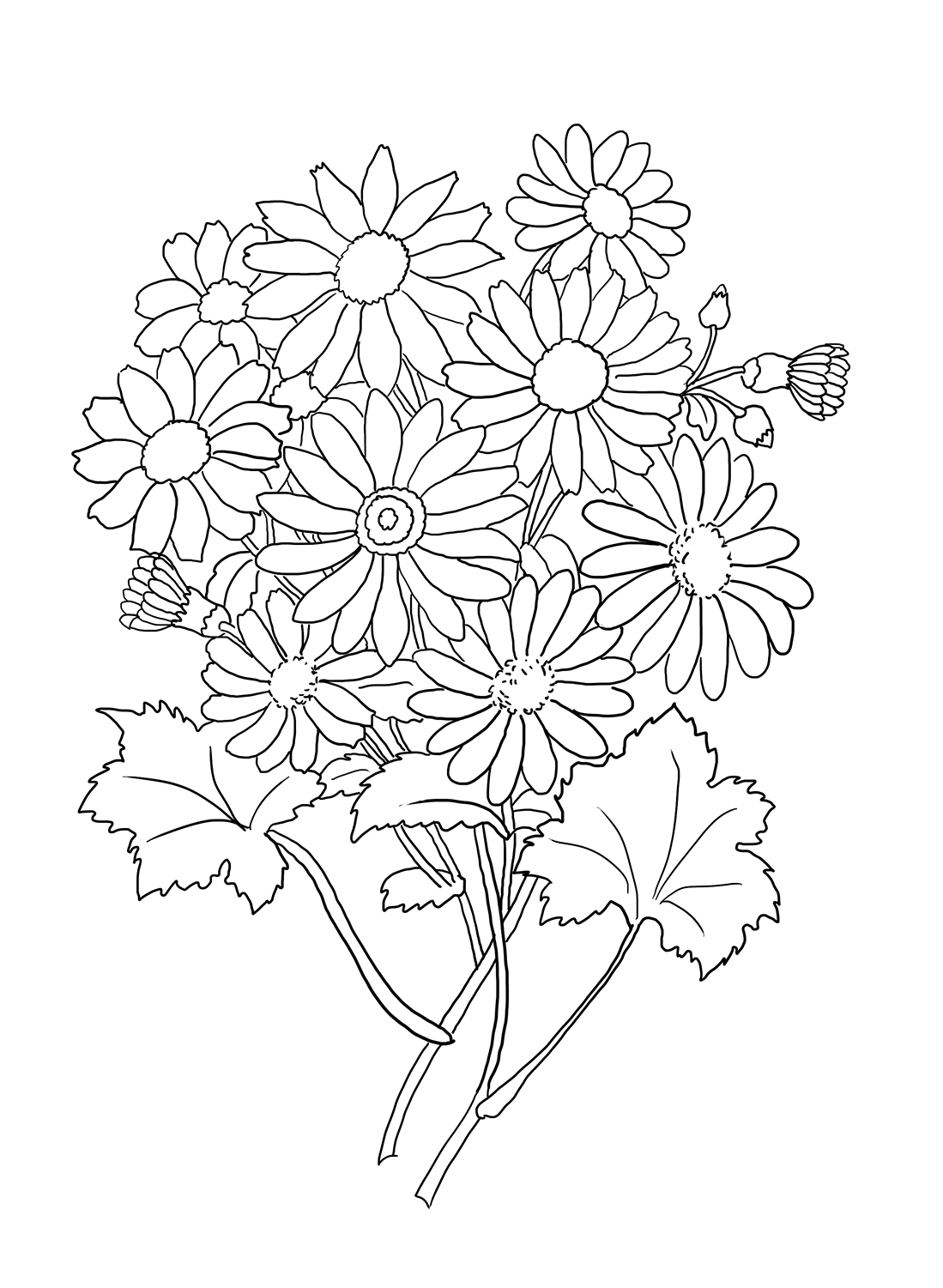 1099x1501 Flower Coloring Pages