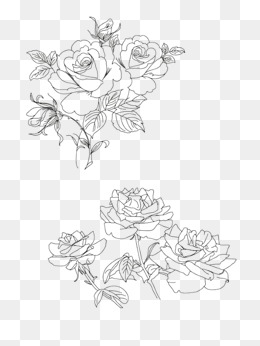 Flowers Drawing Images at GetDrawings | Free download