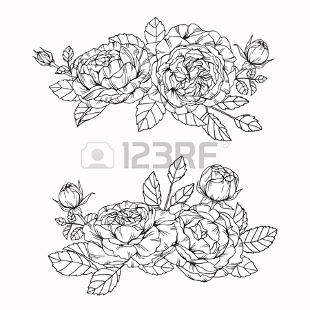 450x450 Anemone Flowers Drawing And Sketch With Line Art On White