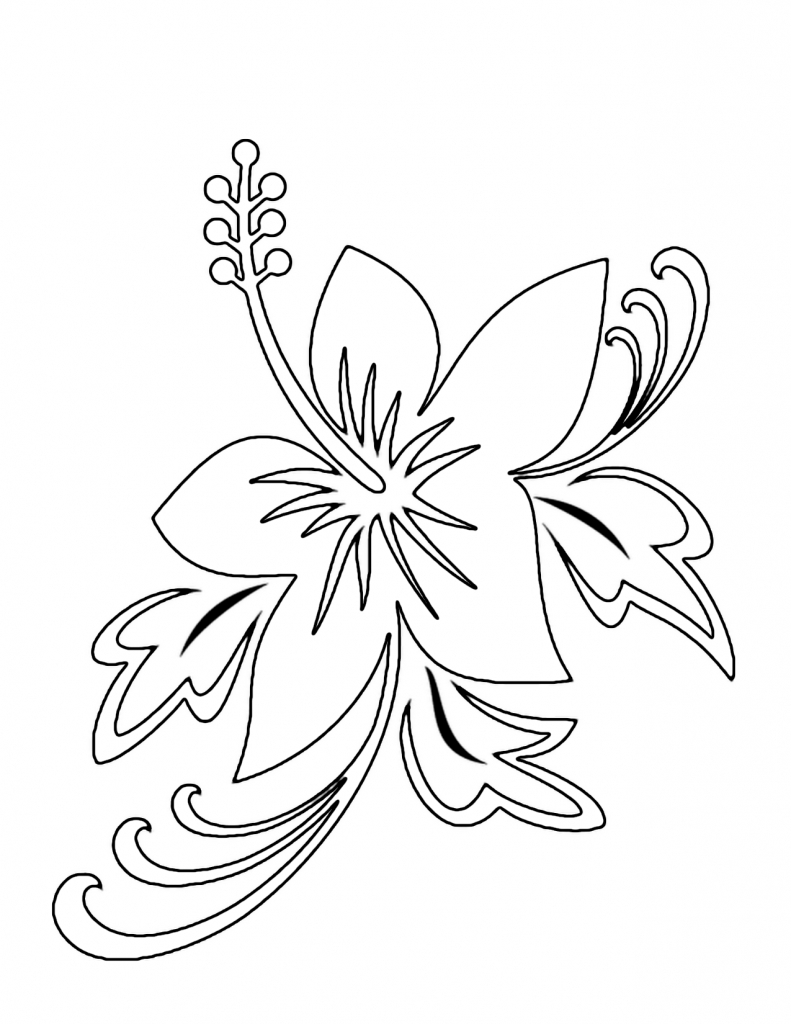 791x1024 Hawaiian Flowers Drawing