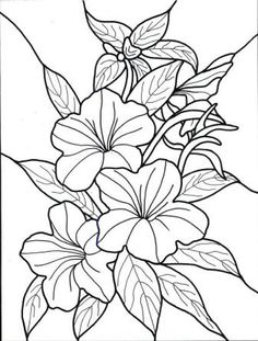 236x311 Flowers Drawing