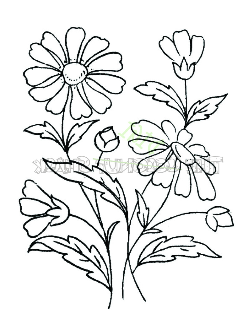 774x1035 Bunch Of Flowers Drawing