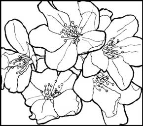 290x256 Preparing An Image For Hand Tracing From Photo To Drawing Peachpit