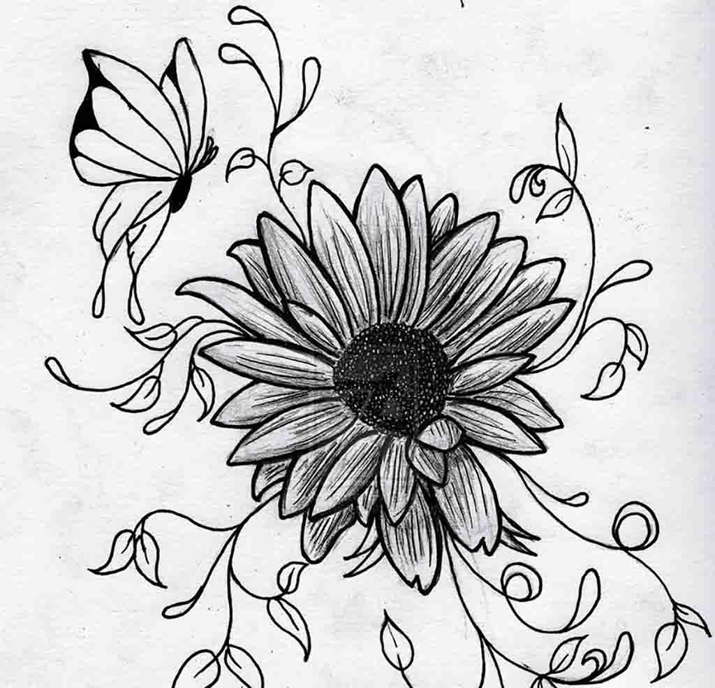 1024x984 Drawings In Pencil Step By Step