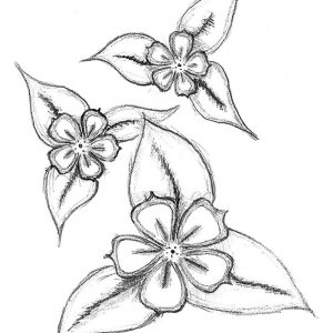 300x300 Adult Simple Flowers To Draw Simple Flowers Drawing Pictures