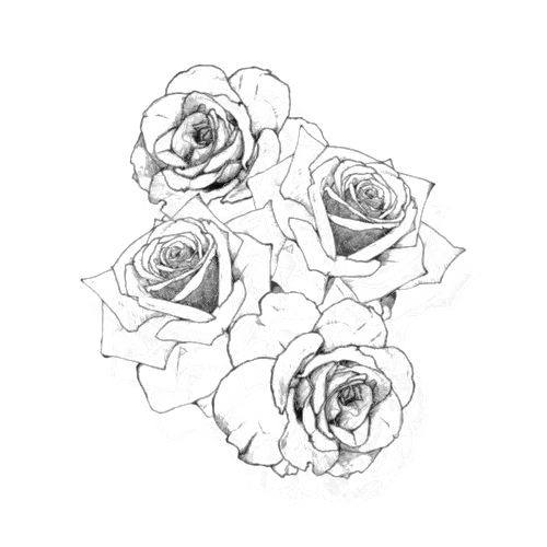 500x500 Transpa Black And White Flowers Tumblr