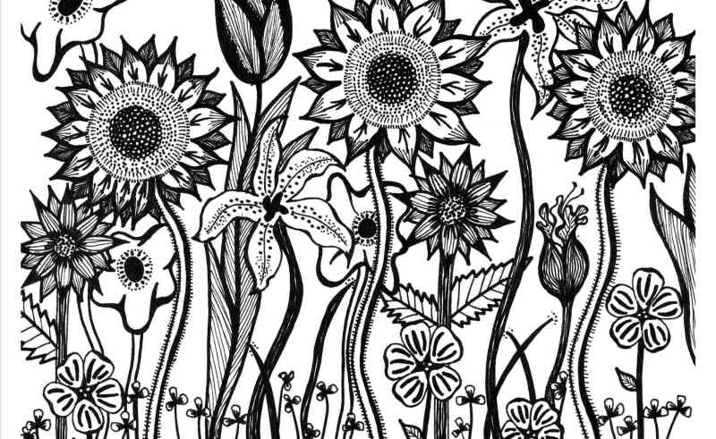 800x491 Tumblr Sketches Flowers And Roses Gardening Flower And Vegetables