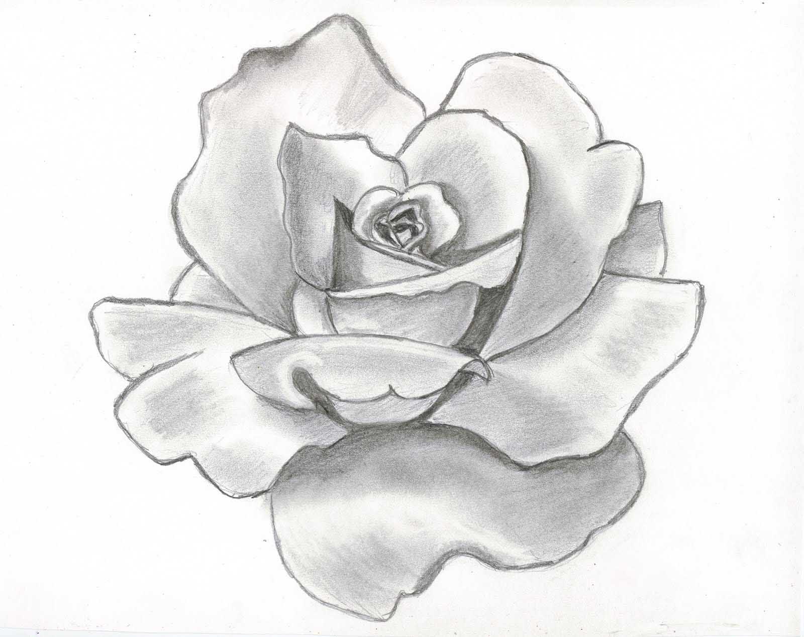 Flowers For Beginners Drawing at GetDrawings | Free download