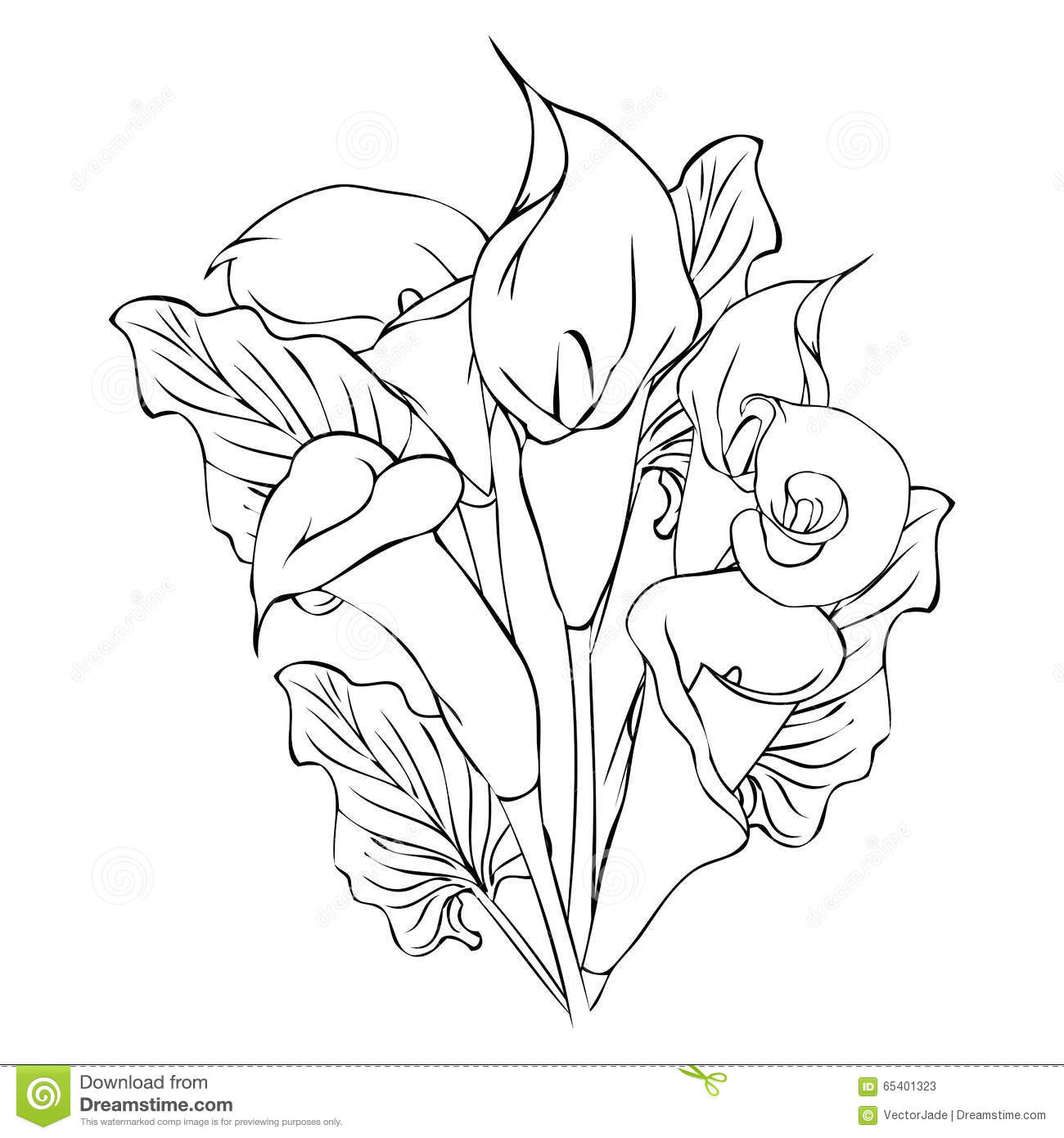1300x1390 Drawings Of Calla Lilies Calla Lily Flower Drawing