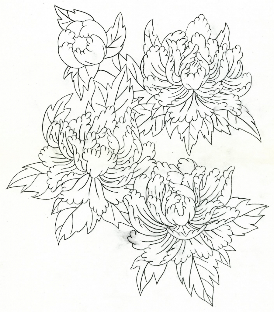 901x1024 Japanese Flowers Drawing