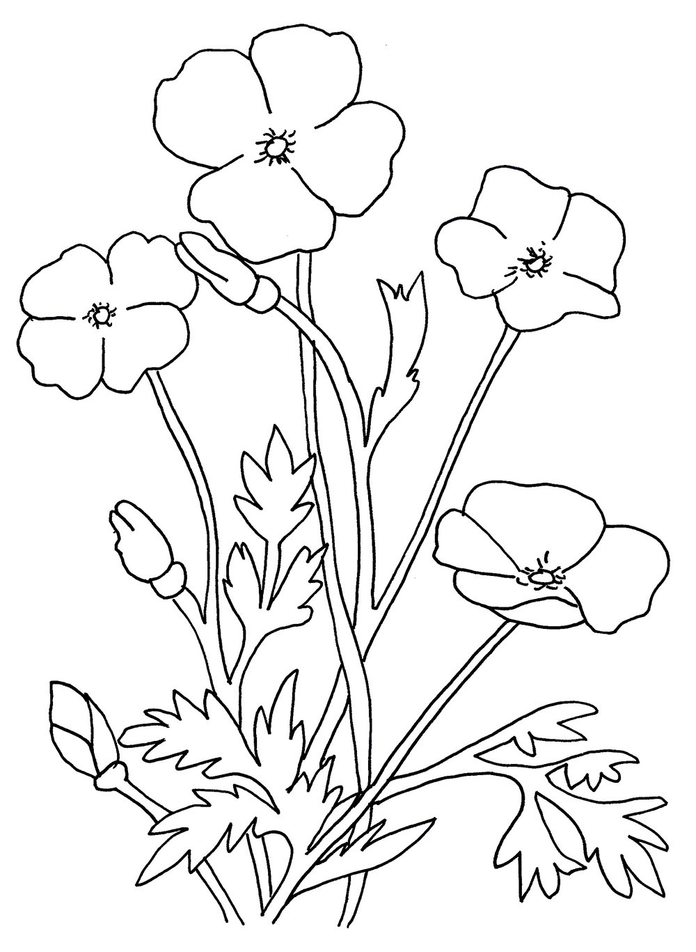 1000x1367 Flowers Drawing For Kids