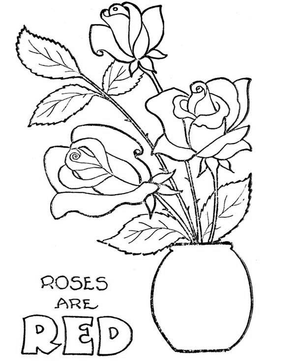 600x734 Pots With Flowers Drawing