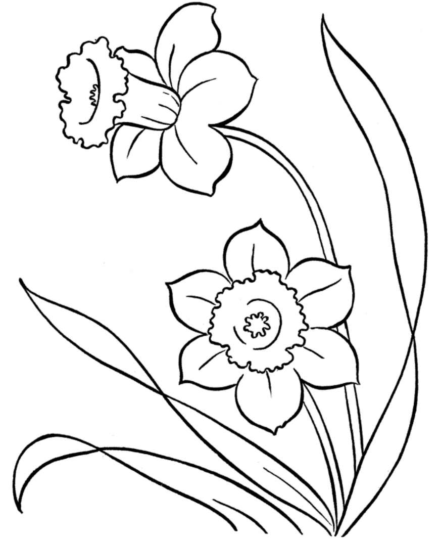 871x1066 Pix For Gt Simple Spring Flower Drawings Embroidery