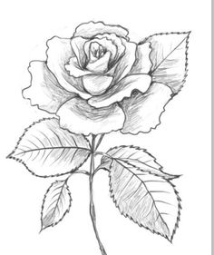236x281 Drawn Clock Flower Opening