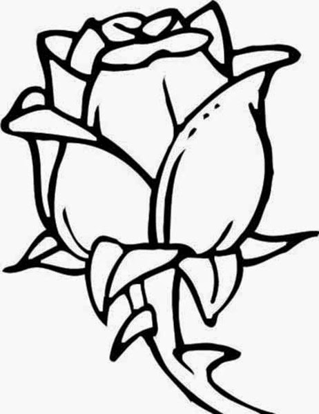 462x600 Flowers Drawings Many Flowers