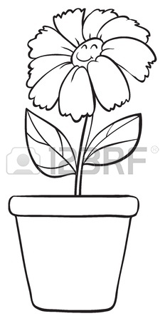 232x450 Illustration Of A Flower Sketch On White Background Royalty Free
