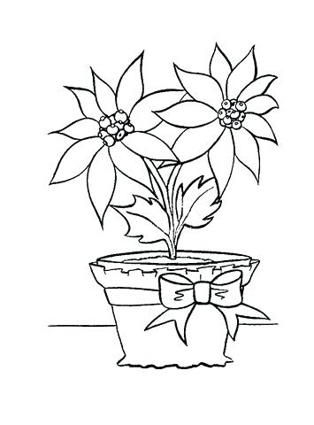 355x480 Poinsettia Coloring Pages Red Color The Flower Poinsettia With Pot