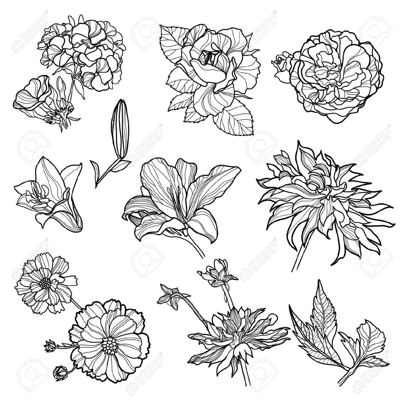 1300x1300 Gallery Flowers Design Sketch,