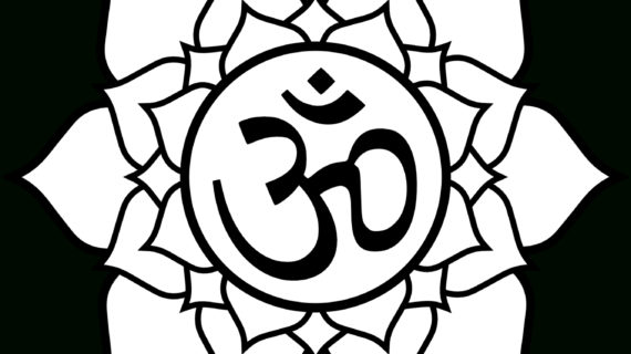 570x320 Lotus Flower Drawing Black And White Lotus Flower Line Drawing