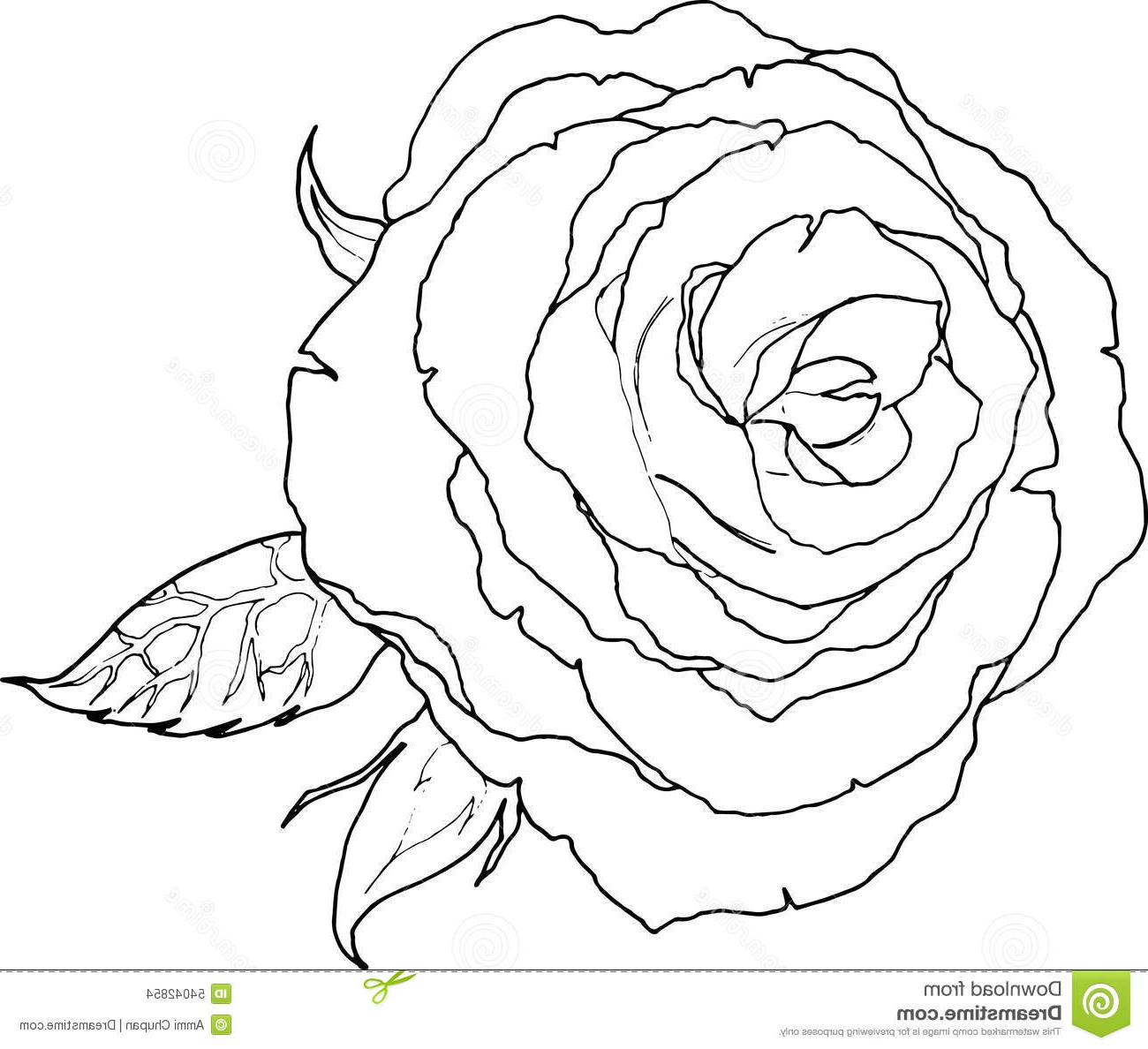 Flowers In Black And White Drawing at GetDrawings | Free download