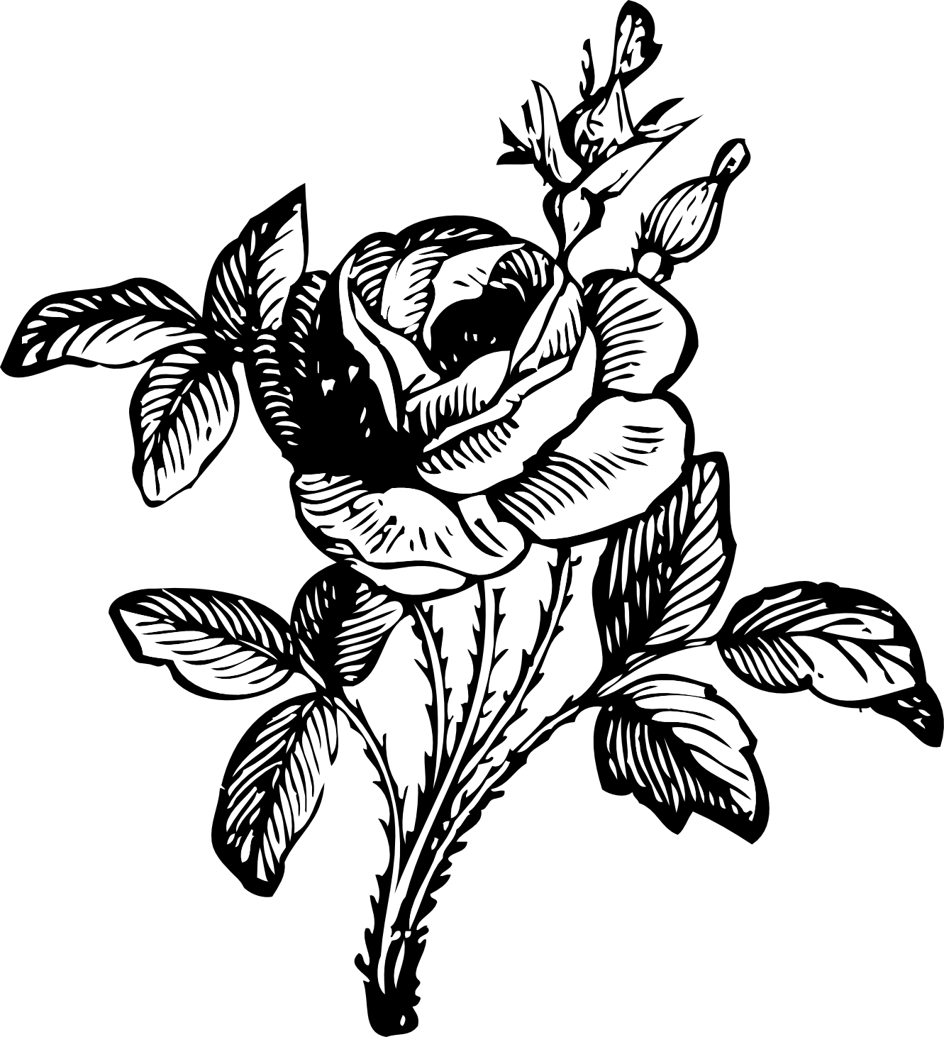 1331x1462 Hoontoidly Single Black Rose Drawings Images