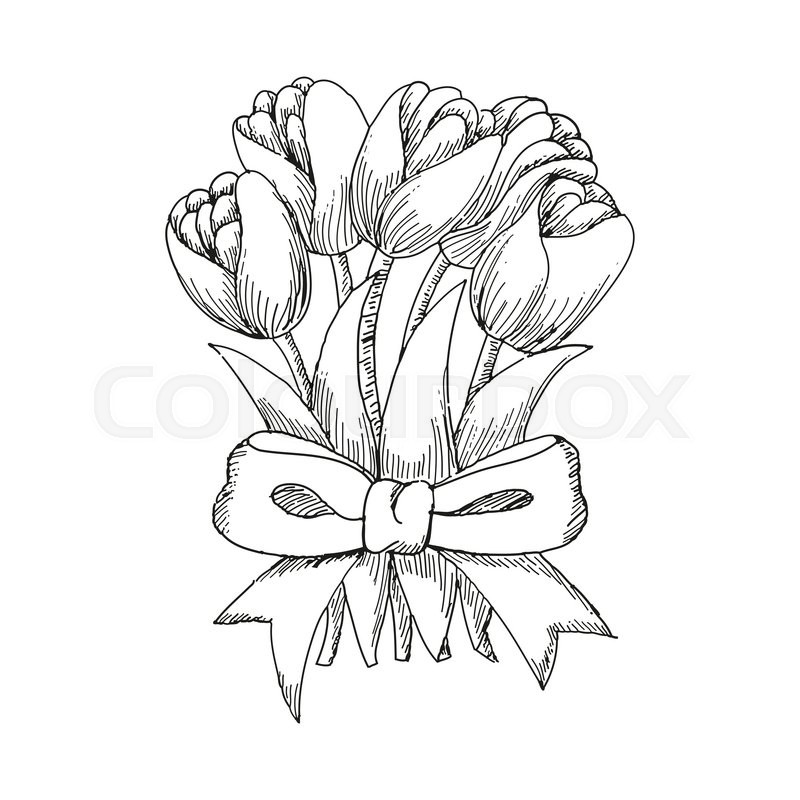 800x800 Hand Drawn Bouquet Of Tulips Tied Up By A Ribbon, Cute Doodling