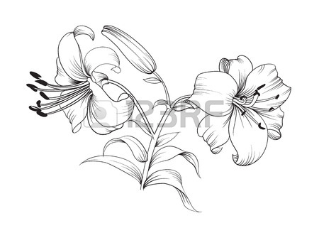 450x321 Line Drawing Stock Photos. Royalty Free Business Images