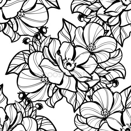 450x450 Peony Flower Drawing Sketch Black White Line Art Stock Vector