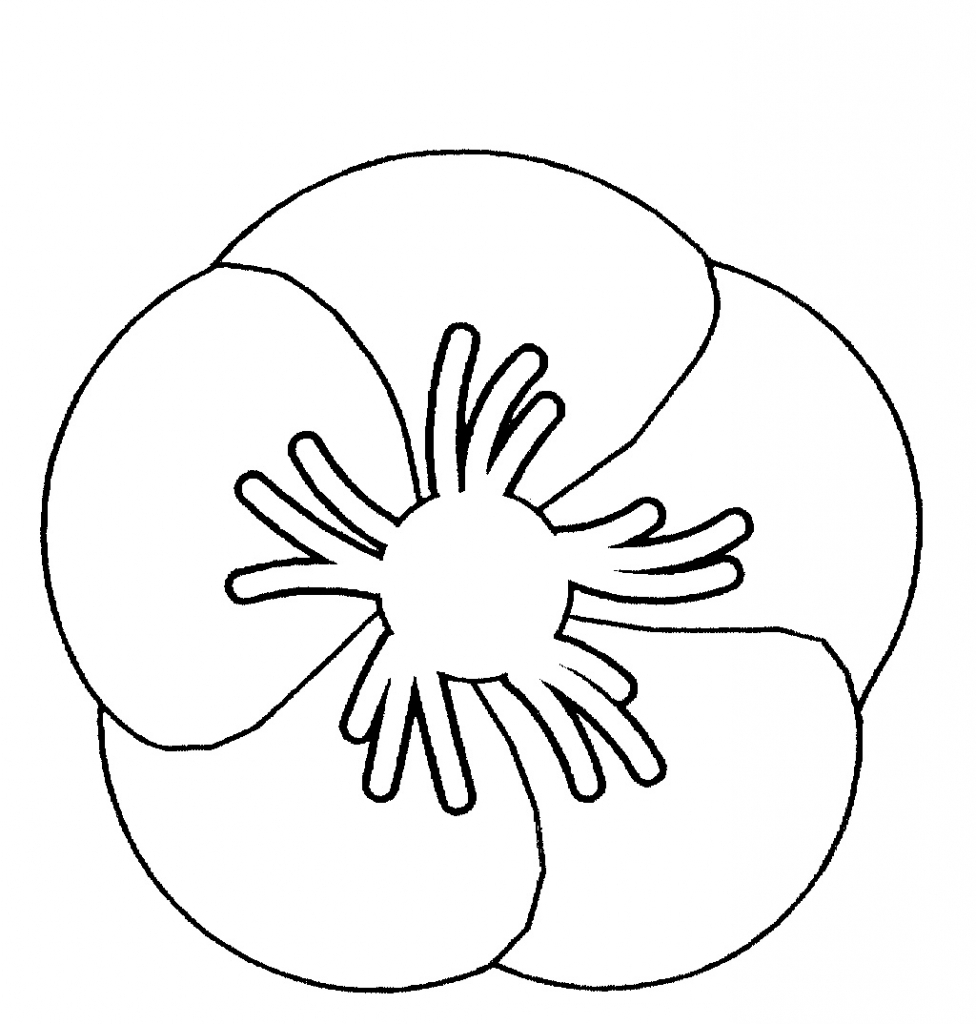 976x1024 Poppy Flower Line Drawing