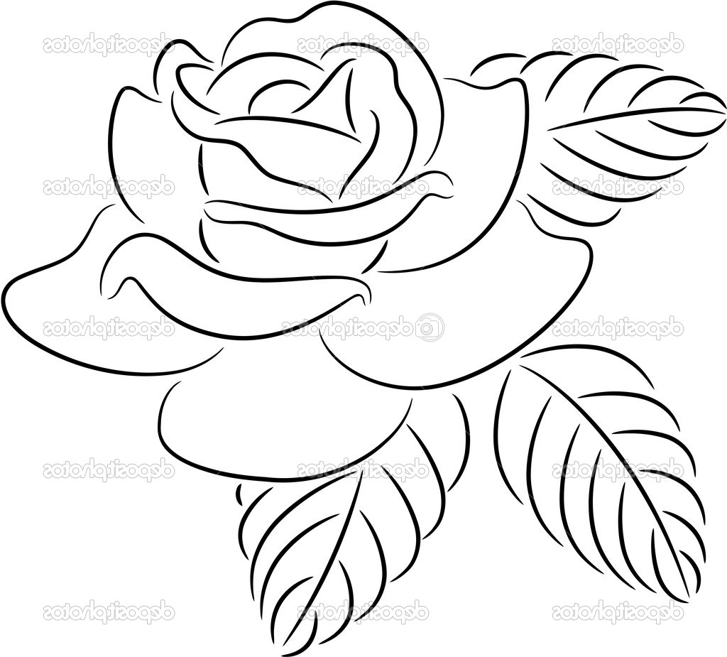 1024x925 Flower Outline Drawing Rose Flower Outline Drawing Black Vector
