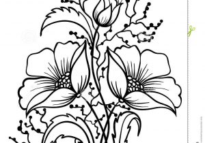 Flowers Outline Drawing at GetDrawings | Free download