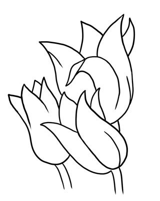 320x400 New Flower Outline Clip Art Flower Outline Drawing Clipart Best