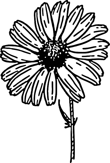 432x640 Black, Outline, Drawing, Sketch, Flower, White, Cartoon