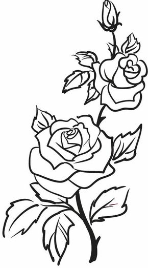 290x523 Roses, Flowers, Vine, Leaves, Bud, Open, Clip Art, Black And White
