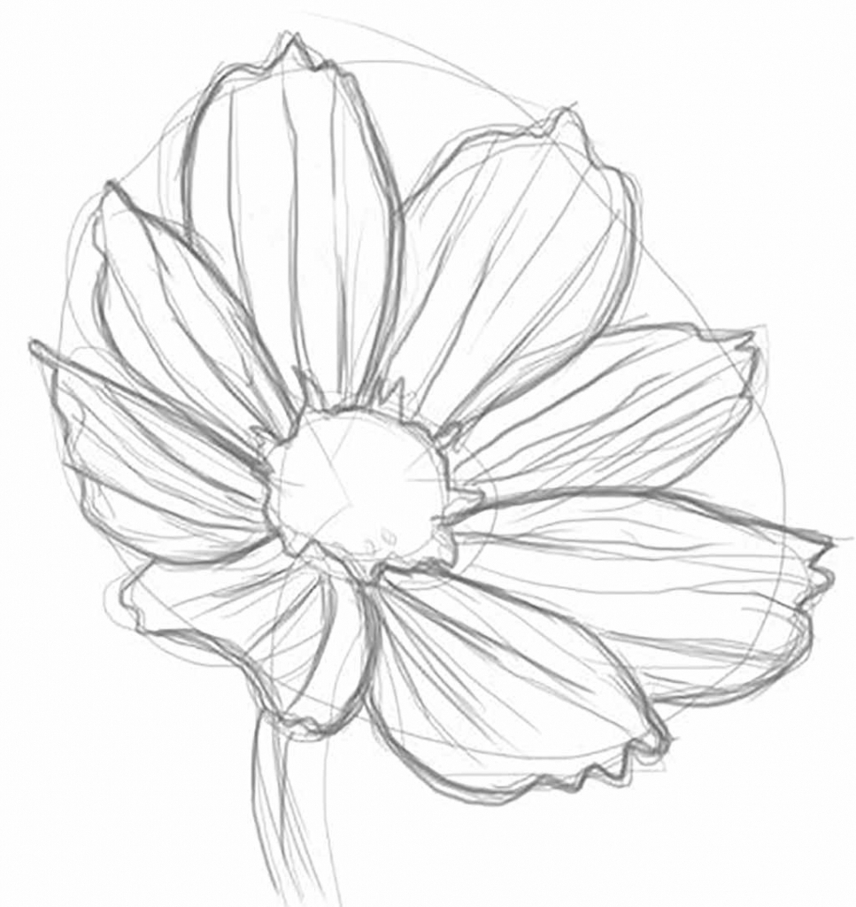 967x1024 Flower Pencil Sketch A Drawing Of A Flower Step Step Pencil