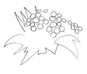 300x253 How To Draw A Flower