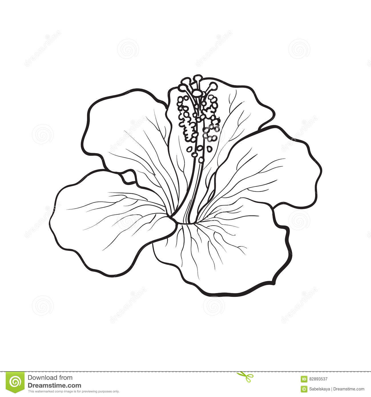 1300x1390 Tropical Flower Drawing Step By Thin Blog