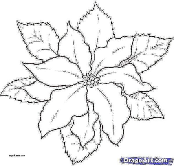 600x572 Vases Design Unique How To Draw A Vase With Flowers Step By Step