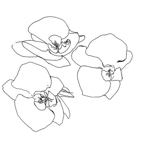 500x523 Pin By Gdlp On Theme Px Confused