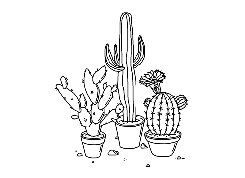 499x363 Unique Pictures Of Pretty Flowers To Draw Transparent Cactus