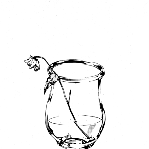 500x500 Birdcage Flowers Tumblr