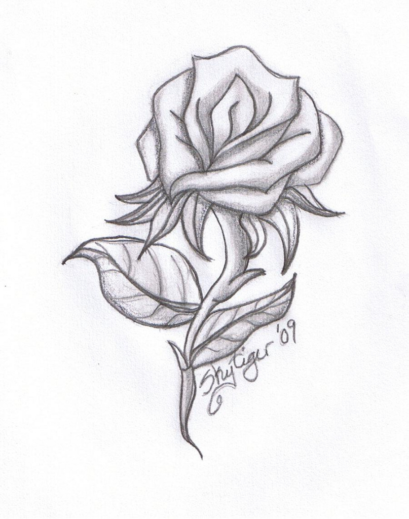 807x1024 Awesome Drawings Of Flower Free Download Tumblr Flowers Drawing