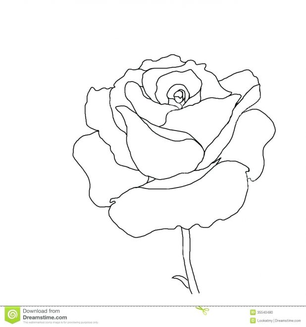 618x661 Coloring Pages Extraordinary Outline Of Flowers. Outline Flowers