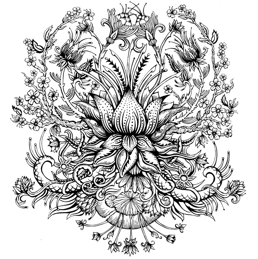 900x903 Beautiful Pencil Drawings Of Flowers