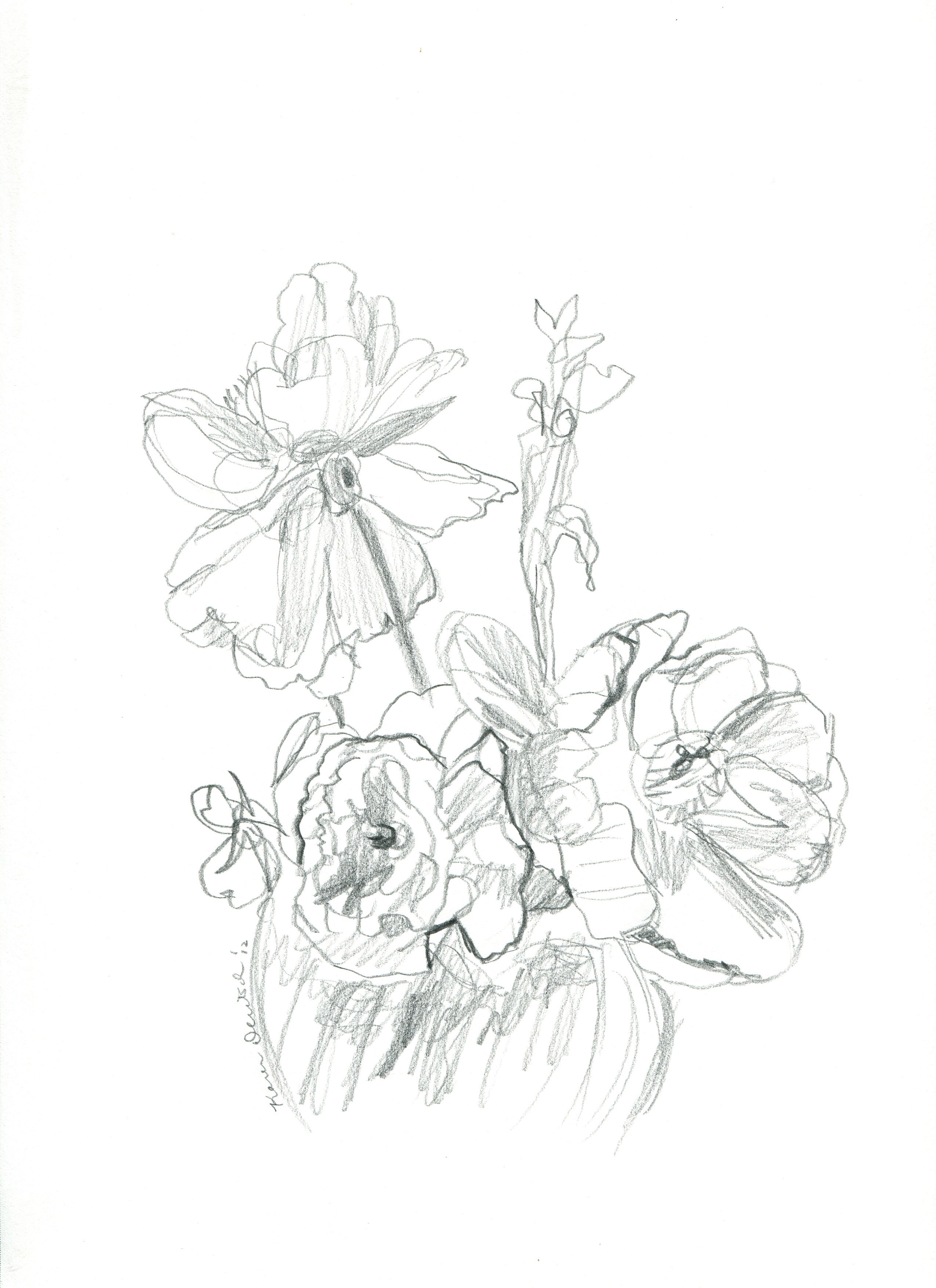 2550x3509 Pencil Drawing Flowers Photos Archives