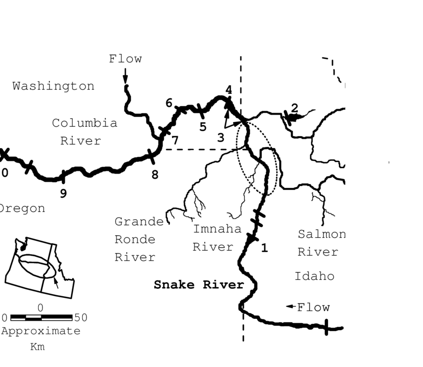 850x738 Locations Of The Free Flowing Snake River Where Adult Fall Chinook